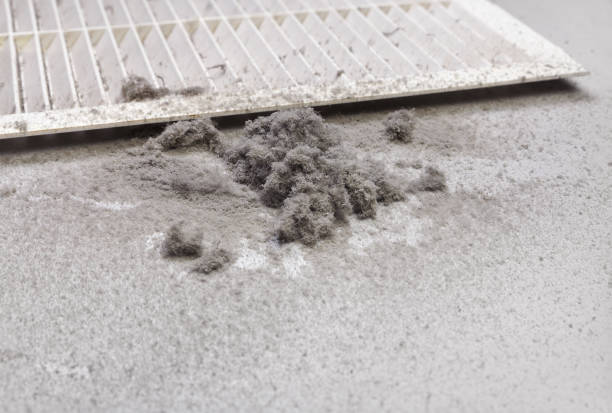 Best Home Air Vent Cleaning  in Monroe, GA